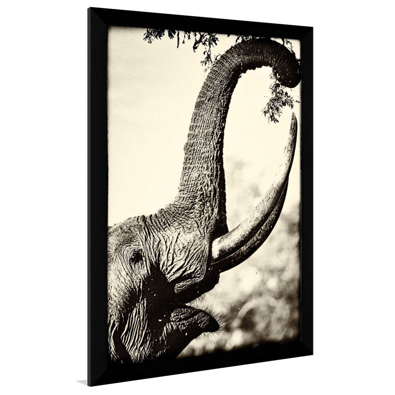 «Reaching High», reproduction de photo, H 49,5 po x l 33,5 po x P 1 po, Cadre noir