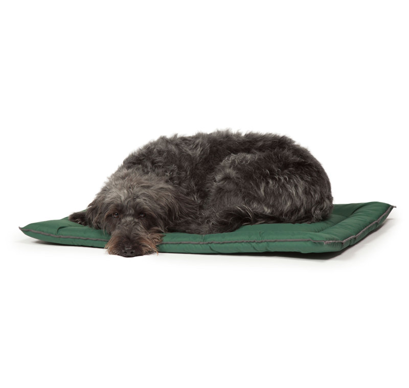 County Polyester Pet Bed, Small (61 cm L x 46 cm W)