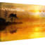 1 Piece Wrapped Canvas Wall Art-16674121