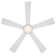 Wynd 5 - Blade Outdoor /Indoor Smart Ceiling Fan with Remote Control and LED Light Kit Included, Works With Alexa and iOS or Android App