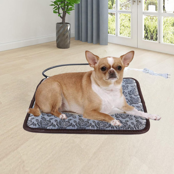 Tucker Murphy Pet™ 17.7in x 27.6in Rectangle Indoor Pet Waterproof Heated  Mat, Brown
