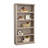 Alexsia Standard Bookcase-1474520260-1436292308