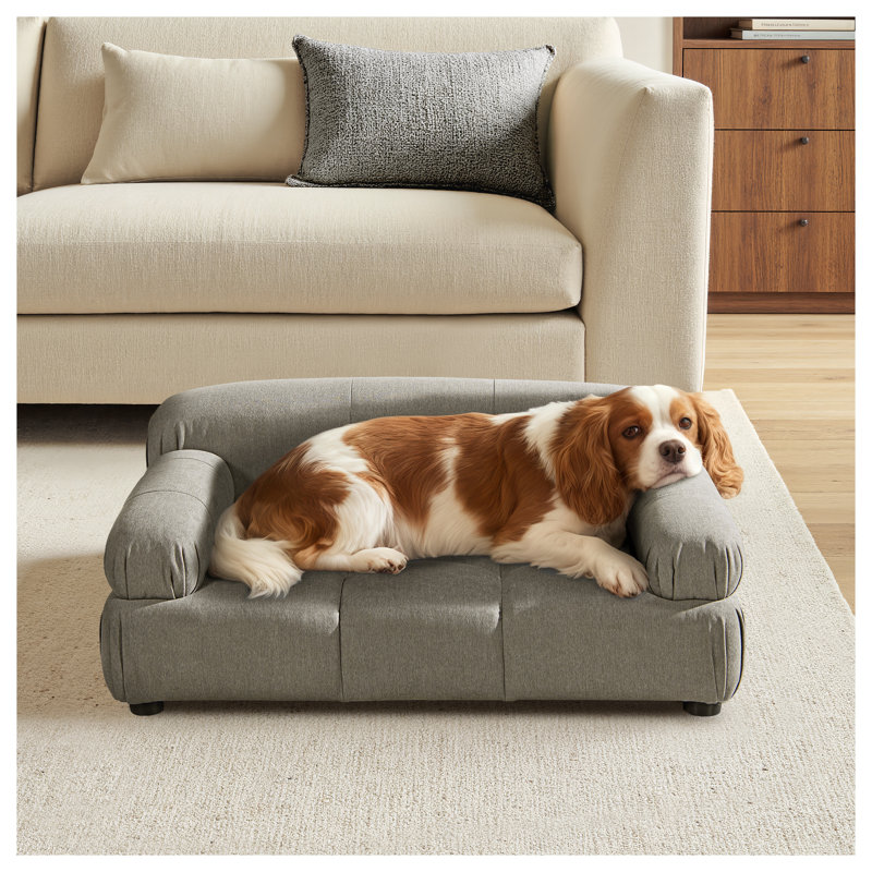 Lit pour animaux en velours avec accoudoirs et coussin capitonné Marcel