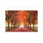 North Bend Trees by Aaron Reed - Print on Canvas-1231205245-1219174521