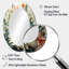 Miroir mural ovale vert et blanc-966873649