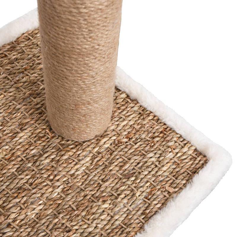 Needham Scratching Post