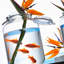Fido Pot alimentaire, transparent-121848160