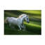 Art sur toile, Milano Milan Malovrh-109335153