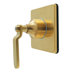 Brushed Brass