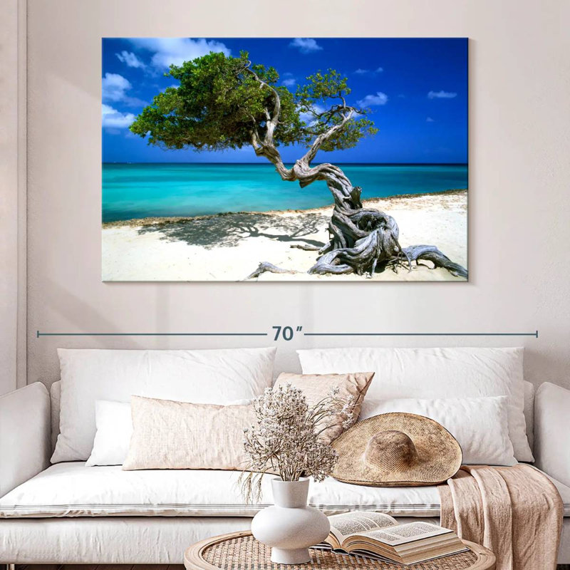Divi Divi arbre Aruba Petites Antilles, H 34 po x l 51 po
