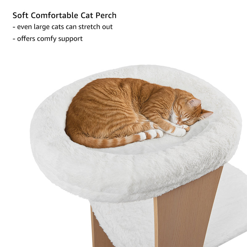 Cat Tree For Large Pets