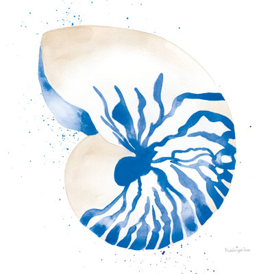 Nautilus