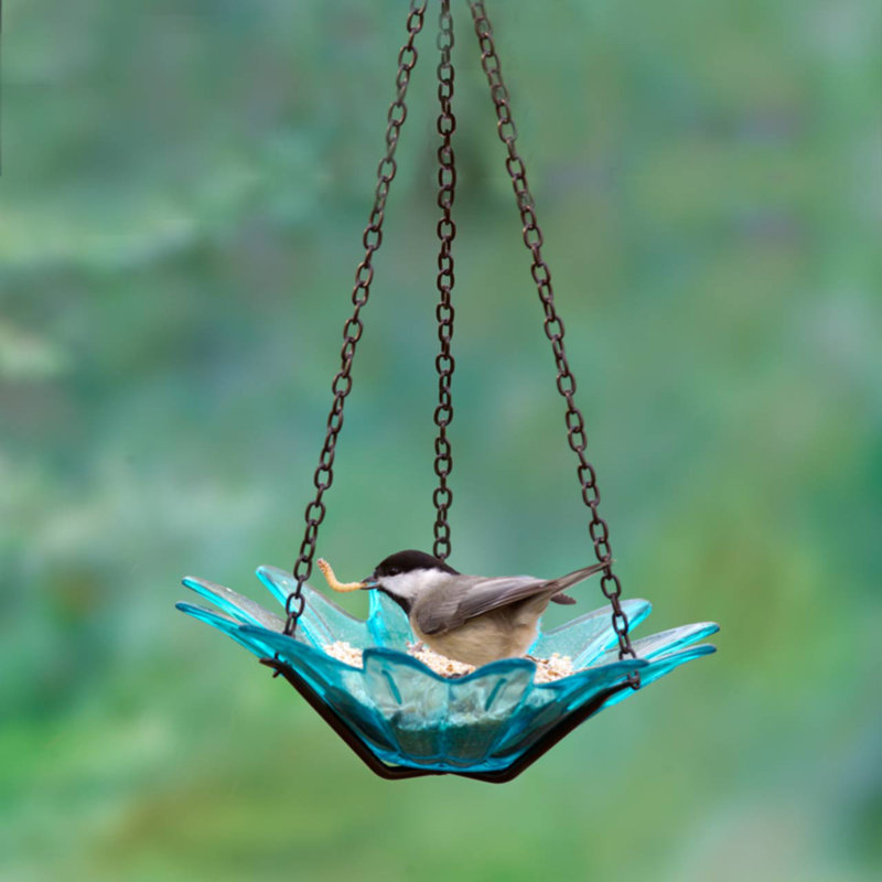 Mangeoire à oiseaux en verre recyclé Daisy, Bleu aqua
