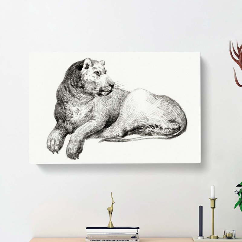Young Lion by Jean Bernard - Wrapped Canvas Drawing - Wrapped Canvas, 35cm H x 50cm W x 3cm D