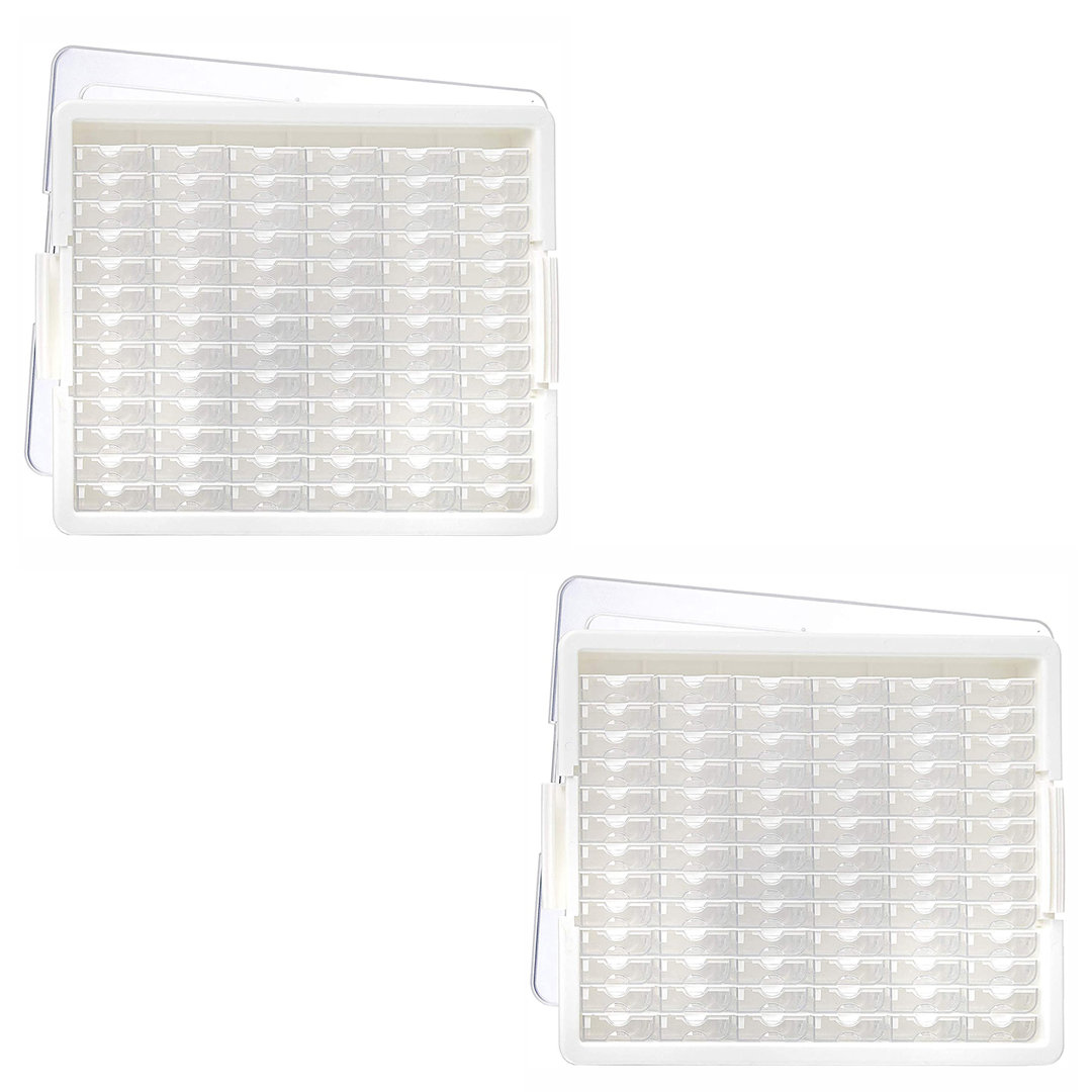 Elizabeth Ward Organizer Plastic Art Carrying Case Bead Storage Solutions Pack 