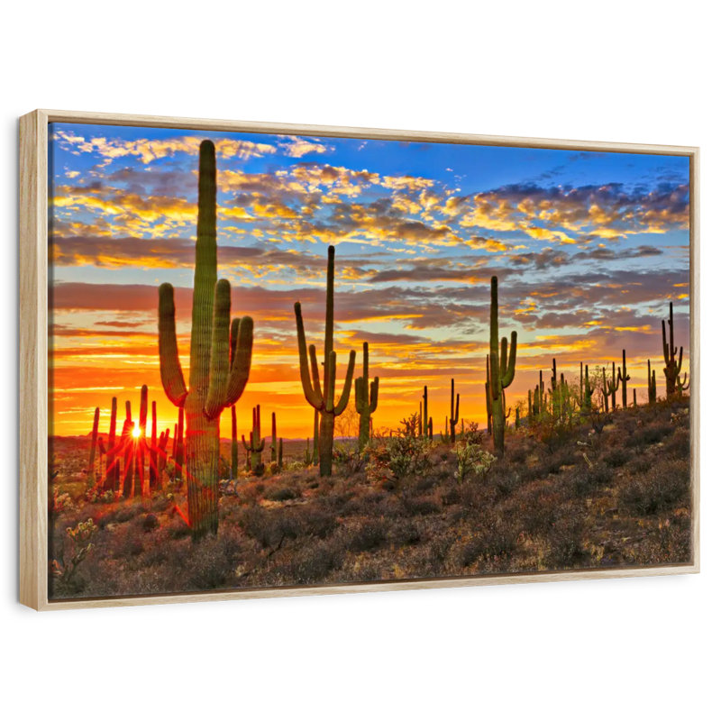 Cactus coucher de soleil, 31 po x 21 po, Cadre flottant en bois naturel