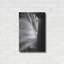 «Elephant Ear I» par Debra Van Swearingen-268529578