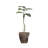 68.5'' Faux Philodendron Plant in Fiberstone Planter