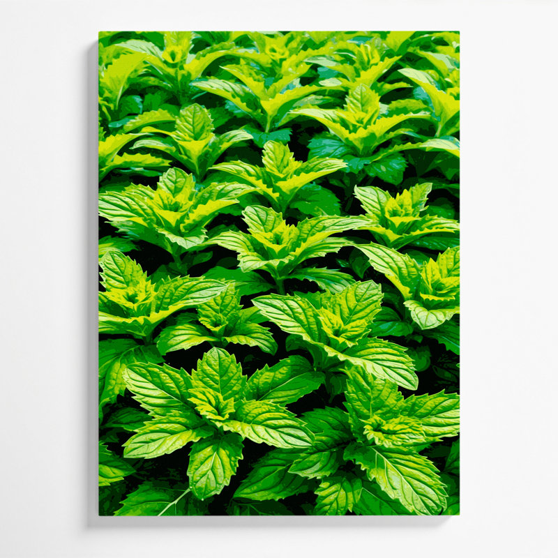 "Watercolor Botanical 64", art mural sur toile verte, H 11 po x l 14 po