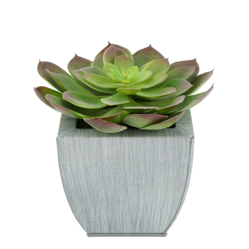 Succulent artificiel 2" en pot, Ferme