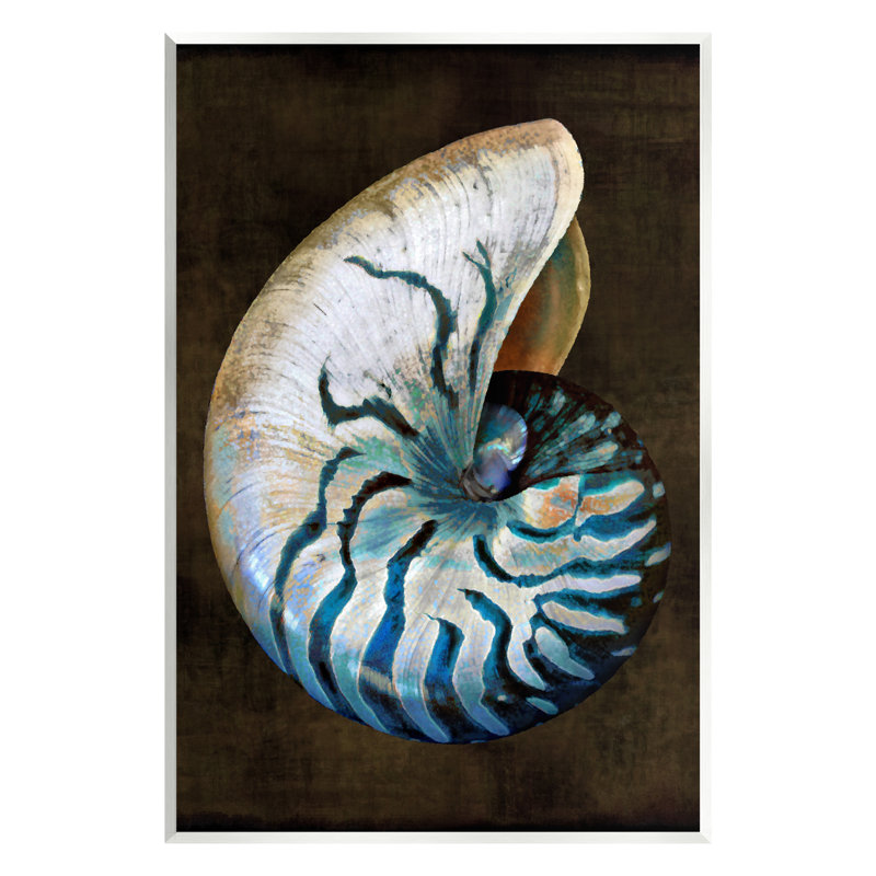Nautilus foncé foncé par Caroline Kelly, H 15 po x l 10 po x P 0,5 po