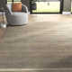 Cassandra Handmadewoven Area Rug in Gray