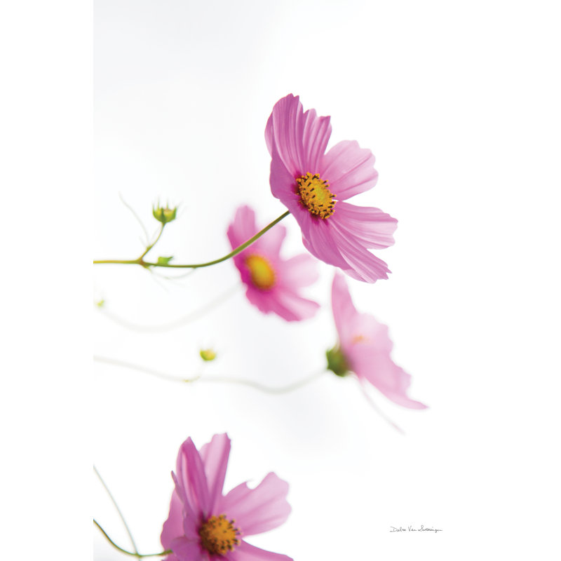 «Pale Cosmos I» par Van Swearingen, Debra - reproduction, H 48 po x l 32 po