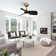 Haywa 28'' Ceiling Fan with LED Lights