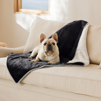 Couverture en flanelle pour animaux