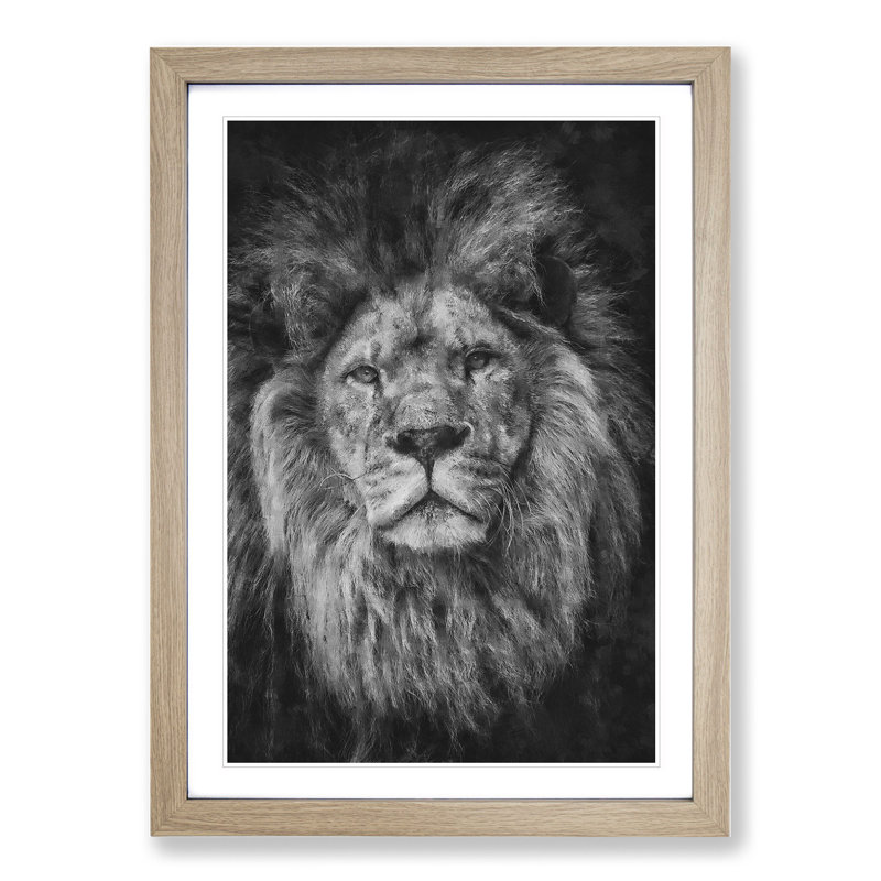 View of a Lion - Framed Print, 36cm H x 27cm W x 2cm D, Oak
