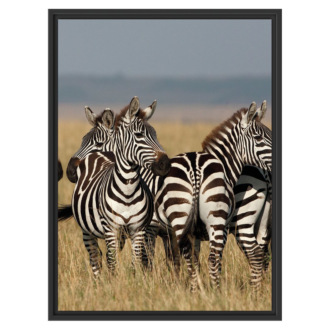 Gerahmtes Wandbild kleine Zebrahorde