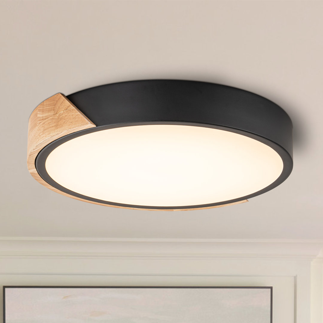 Beezie Acrylic LED Flush Mount Wade Logan®
