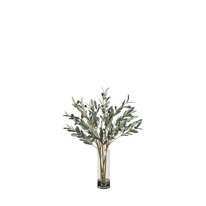 Olive fruitée dans un vase en verre