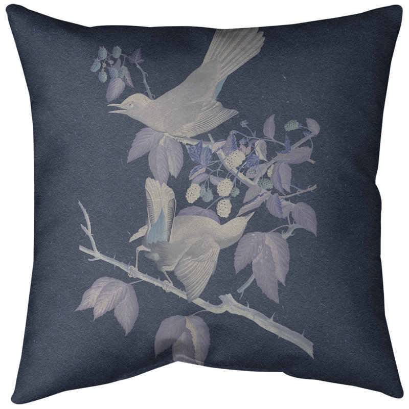 Coussin décoratif à motif d'oiseau de chat avec insert - Collection John James Audubon, double face et lavable, 20 po x 20 po