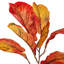 Vickerman 31" Orange Fiddle Leaf Spray. It measures 31 by 5 inches. It includes 3 pieces per bag.