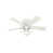 Blanc frais est en rupture de stock