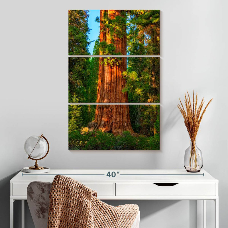 Harnek Kings Canyon Sequoia