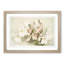 Magnolia Flowers Illustration Tab. 29 by Frederick Sander - Framed Print-55577431-55577428