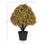 Topiaire artificielle 24 po 24 po-27040630