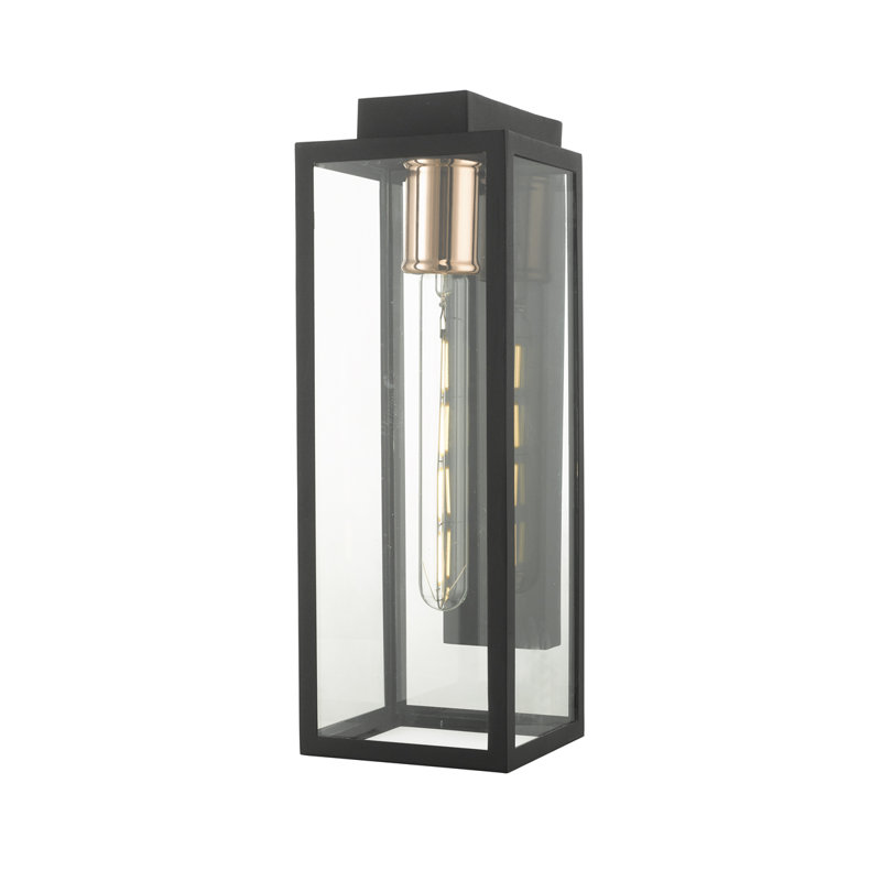 Aafiya Black Outdoor Sconce