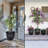 Pot Planter-1342262759