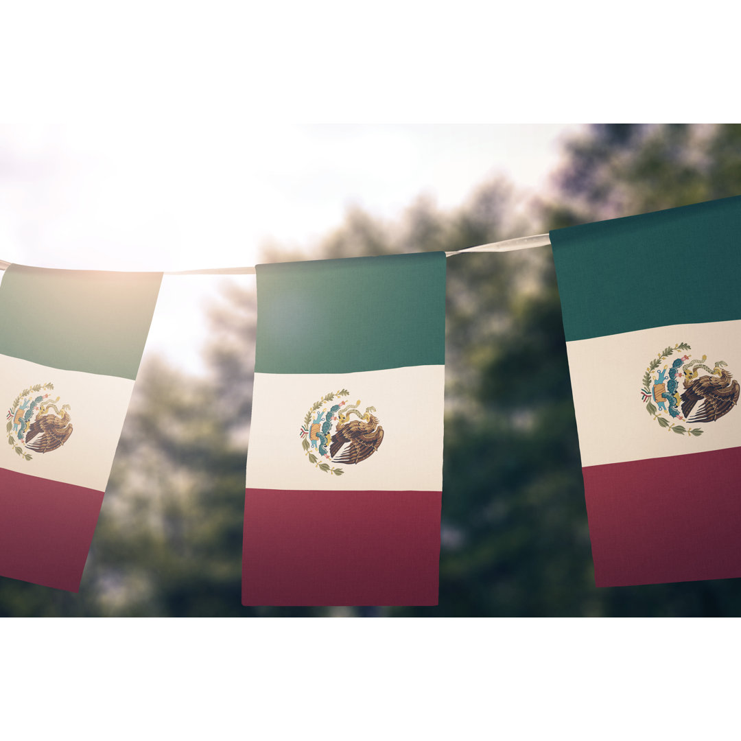 Flag Of Mexico by Derek Brumby - Wrapped Canvas Print