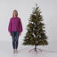 The Holiday Aisle® Nordic Spruce Slim Tree with Clear Lights-2116516371