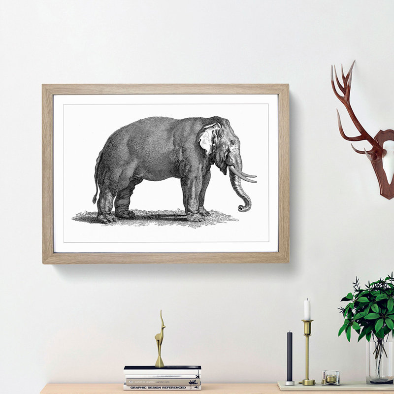 Elephant in Black & White by George Shaw - Picture Frame Drawing Print, 27cm H x 36cm W x 2cm D, Oak Framed