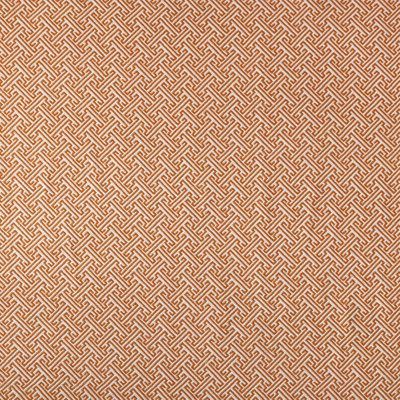 Indigra Fabric