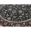 Wool Oriental Area Rug