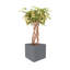 Pot Planter-37904852-37904851