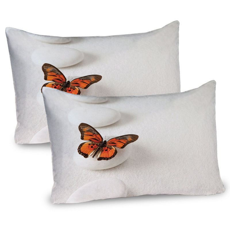 Ensemble de 2 taies décoratives Ambesonne Boho Butterfly Rocks, H 20 po x l 36 po