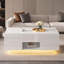 Coffee Table-1149940426