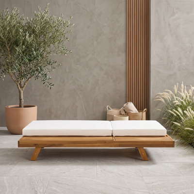 Chaise longue d'extérieur en bois avec coussin